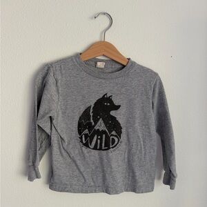 3T Asheville, North Carolina Wild Fox Shirt Spiritex